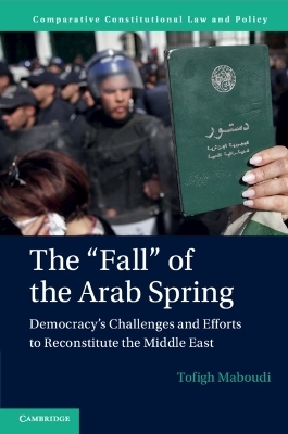 The 'Fall' of the Arab Spring - Tofigh Maboudi