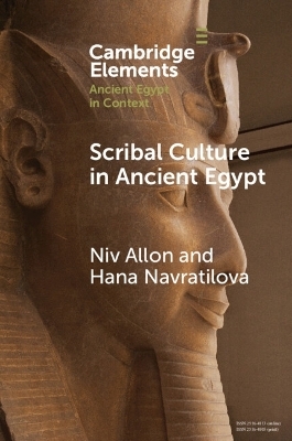 Scribal Culture in Ancient Egypt - Niv Allon, Hana Navratilova