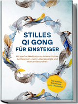 Stilles Qi Gong für Einsteiger: Mit sanfter Meditation zu innerer Stärke, Achtsamkeit, mehr Lebensenergie und starker Gesundheit - inkl. sanfter Traumreise zum Einschlafen - Maria Klemm