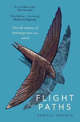 Flight Paths - Rebecca Heisman