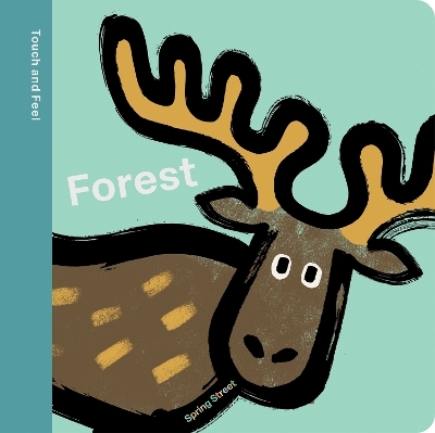 Spring Street Touch and Feel: Forest -  Boxer Books