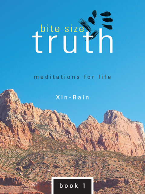 Bite   Size   Truth -  Xin-Rain