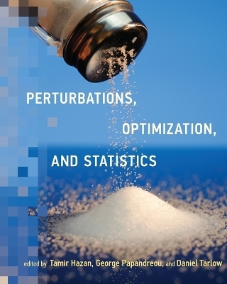 Perturbations, Optimization, and Statistics - 