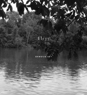 Dawoud Bey: Elegy - Valerie Cassel Oliver