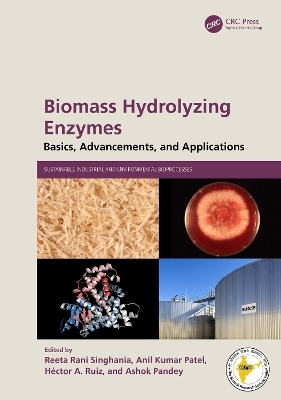 Biomass Hydrolyzing Enzymes - 