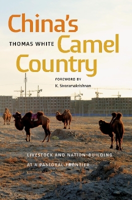 China's Camel Country - Thomas White