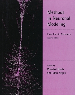 Methods in Neuronal Modeling - 
