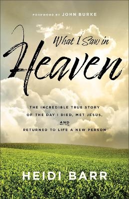 What I Saw in Heaven - Heidi Barr