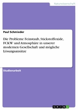 Die Probleme Feinstaub, Stickstoffoxide, FCKW und Atmosphäre in unserer modernen Gesellschaft und mögliche Lösungsansätze - Paul Schmieder