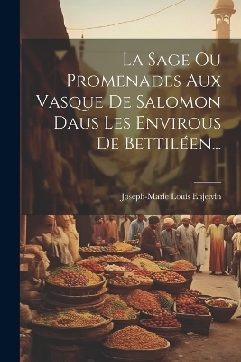 La Sage Ou Promenades Aux Vasque De Salomon Daus Les Envirous De Bettiléen... - Joseph-Marie Louis Enjelvin