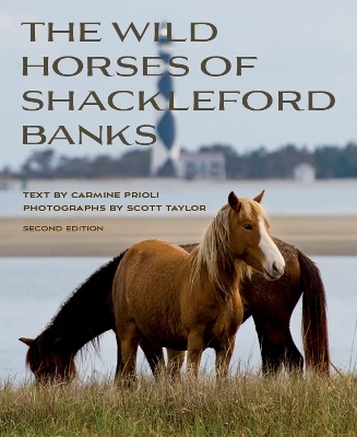 Wild Horses of Shackleford Banks - Carmine Prioli, Scott Taylor