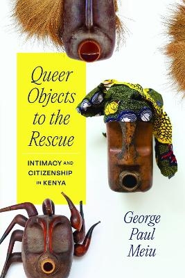 Queer Objects to the Rescue - George Paul Meiu