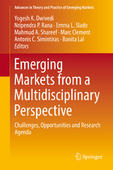 Emerging Markets from a Multidisciplinary Perspective - 