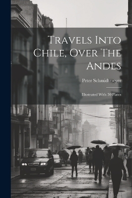 Travels Into Chile, Over The Andes - Peter Schmidtmeyer