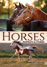 Horses - Shelley Paulson