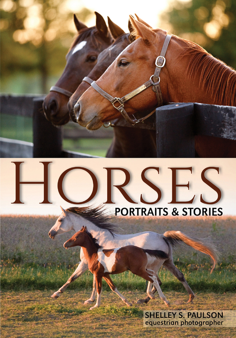 Horses - Shelley Paulson