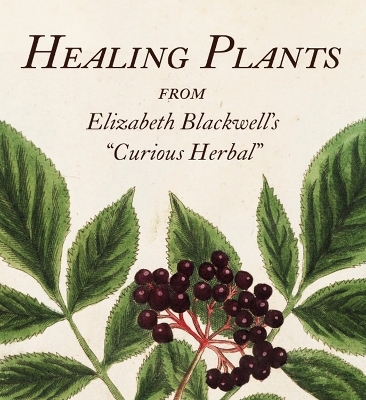 Healing Plants - 