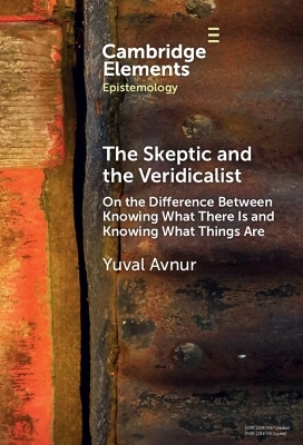 The Skeptic and the Veridicalist - Yuval Avnur