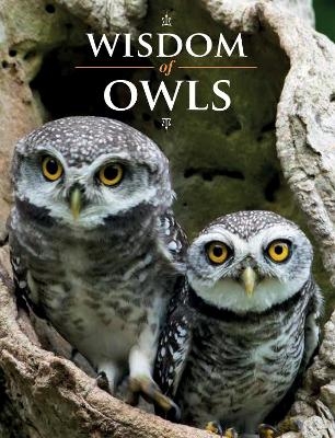 Wisdom of Owls - 