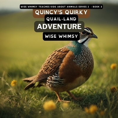 Quincy's Quirky Quail-land Adventure - Wise Whimsy