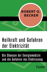 Heilkraft und Gefahren der Elektrizität - Robert O. Becker