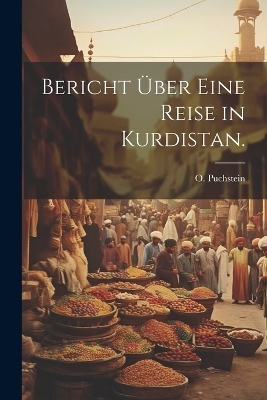 Bericht über eine Reise in Kurdistan. - O Puchstein