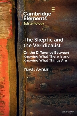 The Skeptic and the Veridicalist - Yuval Avnur