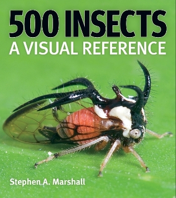 500 Insects: A Visual Reference - Stephen A Marshall