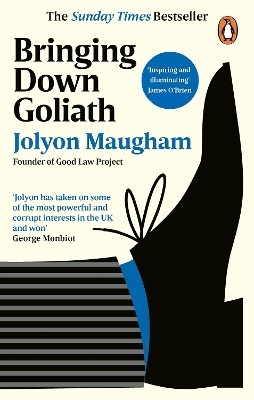 Bringing Down Goliath - Jolyon Maugham