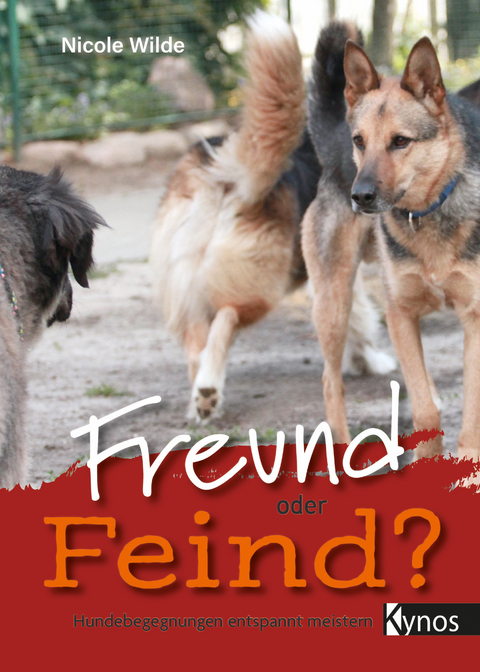 Freund oder Feind? - Nicole Wilde