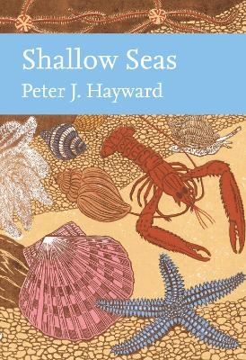 Shallow Seas - Peter Hayward
