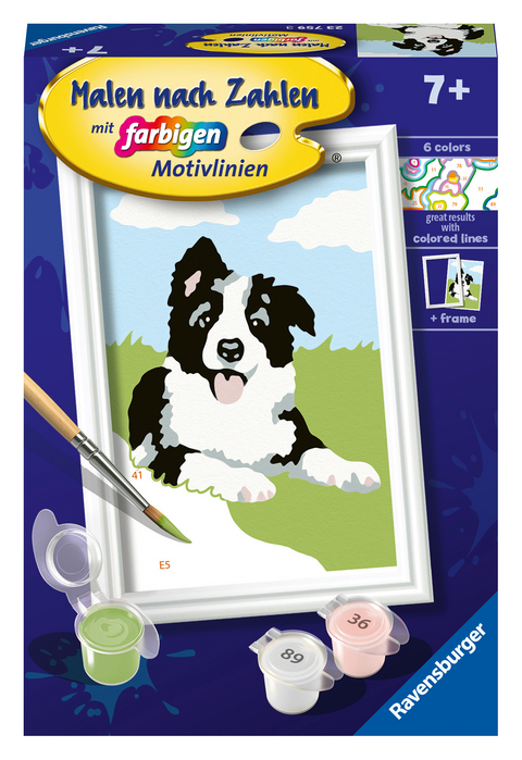 Ravensburger Malen nach Zahlen 23759 - Border Collie Welpe - Kinder ab 7 Jahren