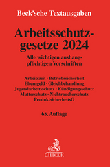 Arbeitsschutzgesetze 2024 - 