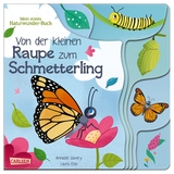 Von der kleinen Raupe zum Schmetterling - Annabel Savery