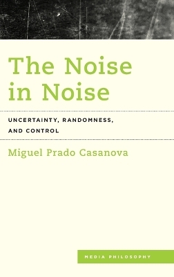 The Noise in Noise - Miguel Prado Casanova