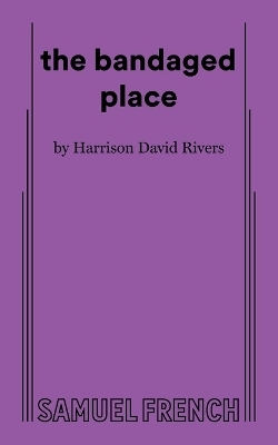 the bandaged place - Harrison David Rivers