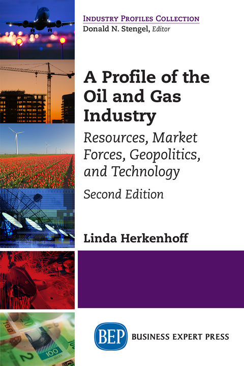 A Profile of the Oil and Gas Industry, Second Edition - Linda Herkenhoff