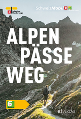 Alpenpässeweg - David Coulin