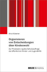 Organisieren von Entscheidungen über Kindeswohl - Nina Kläsener