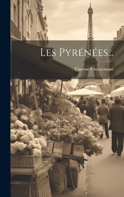 Les Pyrénées... - Vincent Chausenque