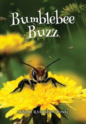BumbleBeeBuzz - Melanie Richardson Dundy