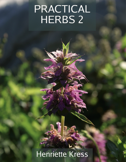 Practical Herbs 2 -  Henriette Kress