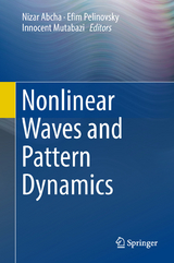 Nonlinear Waves and Pattern Dynamics - 