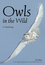 Owls In The Wild - Rob Palmer