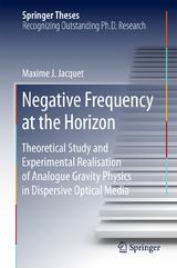 Negative Frequency at the Horizon - Maxime Jacquet