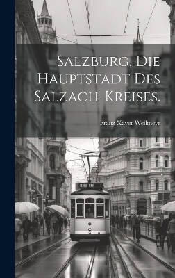 Salzburg, die Hauptstadt des Salzach-Kreises. - Franz Xaver Weilmeyr