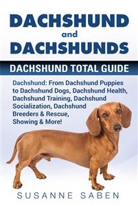 Dachshund and Dachshunds - Susanne Saben