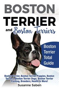 Boston Terrier and Boston Terriers - Susanne Saben