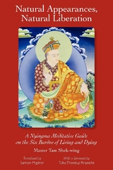 Natural Appearances, Natural Liberation -  Master Shek-wing Tam