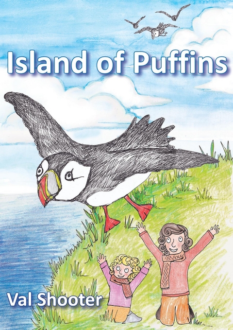 Island of Puffins -  Val Shooter